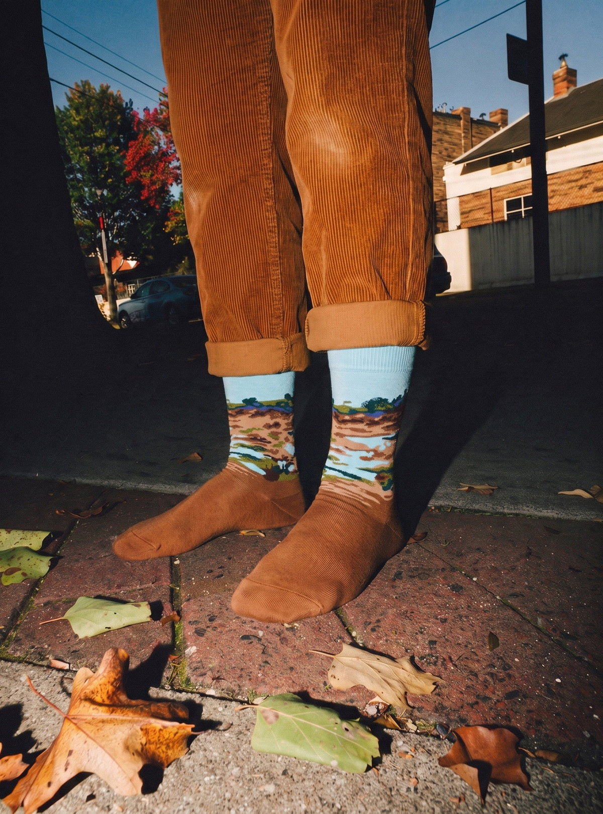 Bloei van de Gagel sokken gedragen bij een corduroy broek op straat