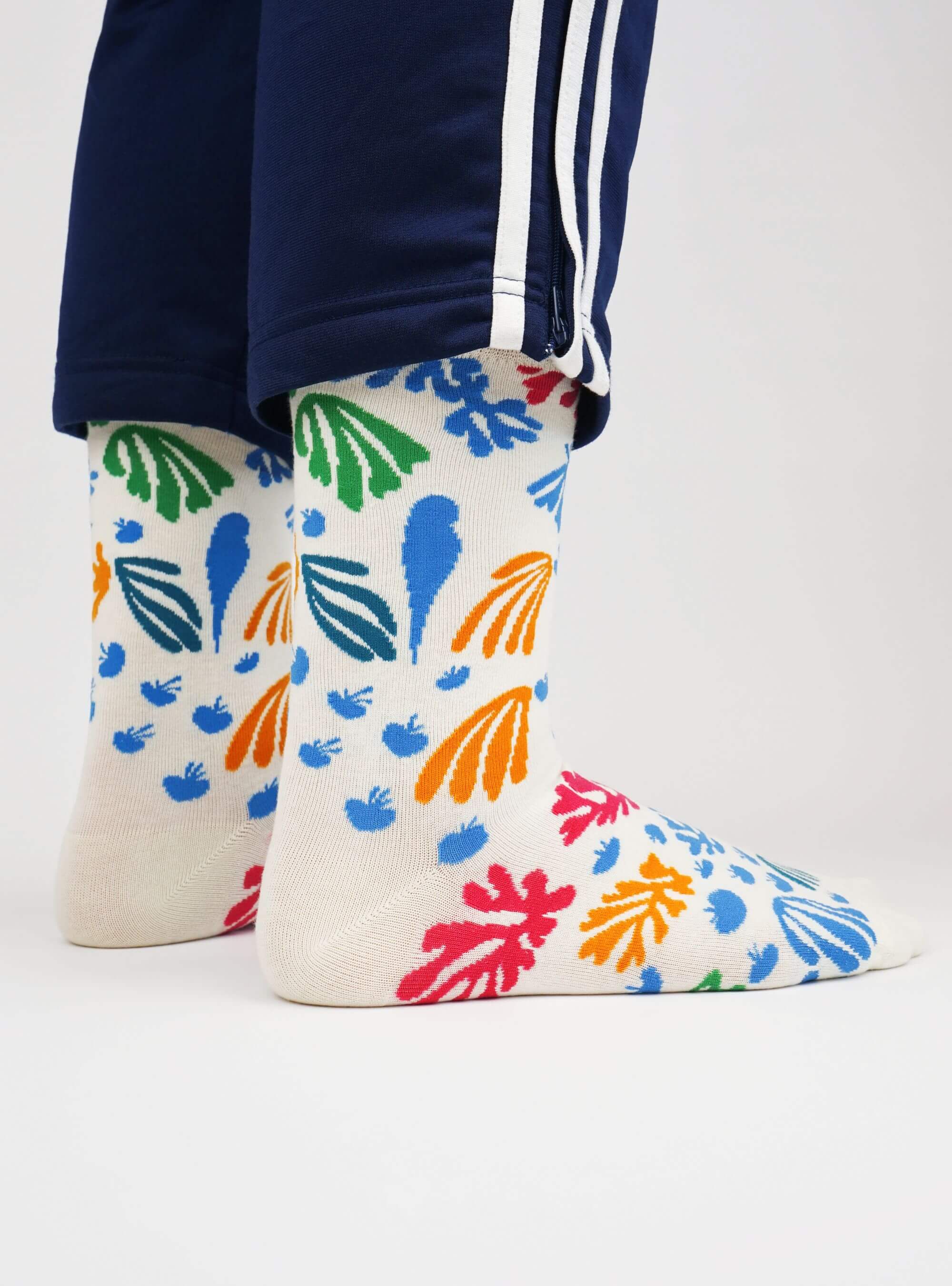 Henri Matisse Collectie 6-Pack