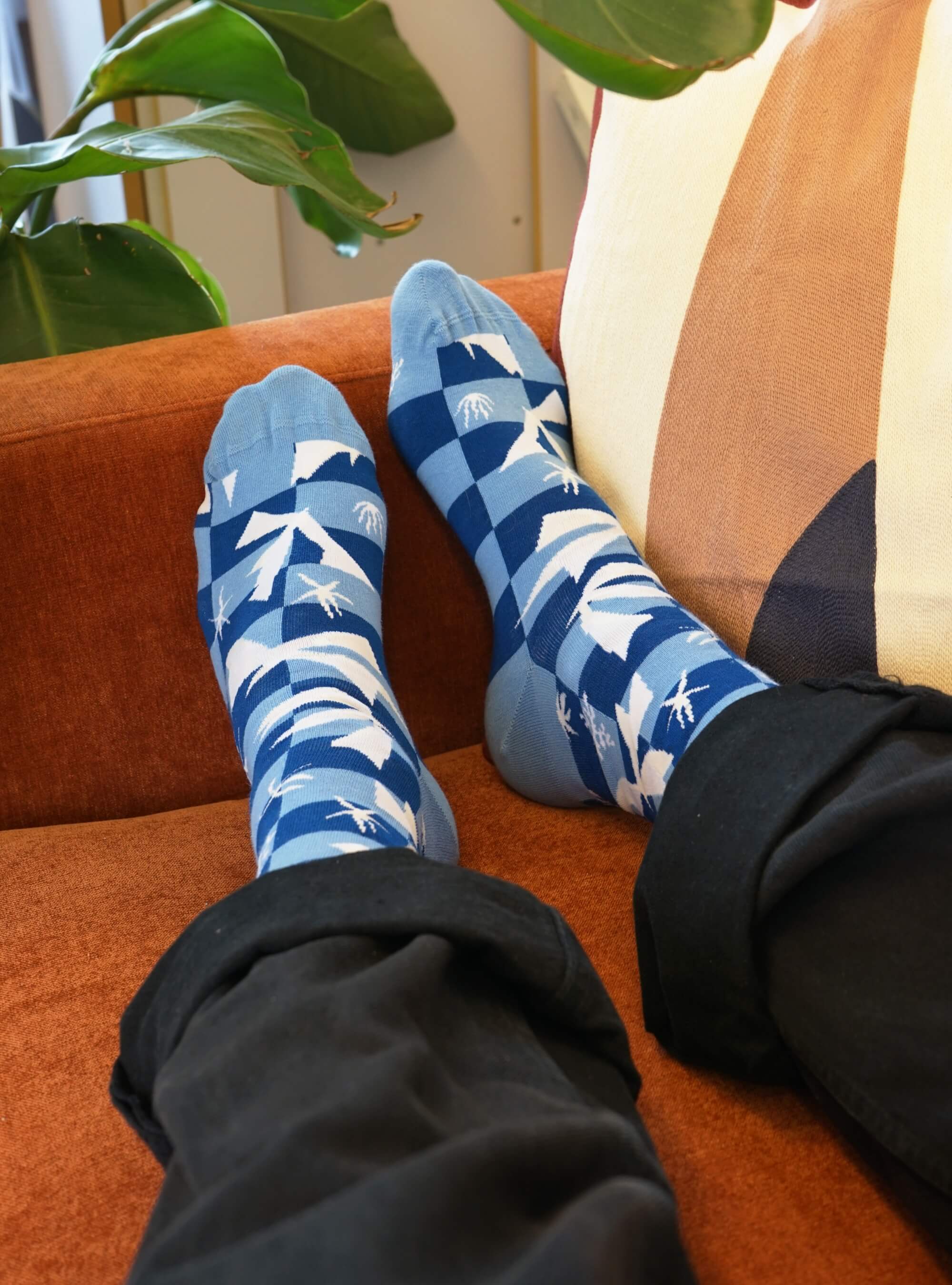 Henri Matisse Collectie 6-Pack