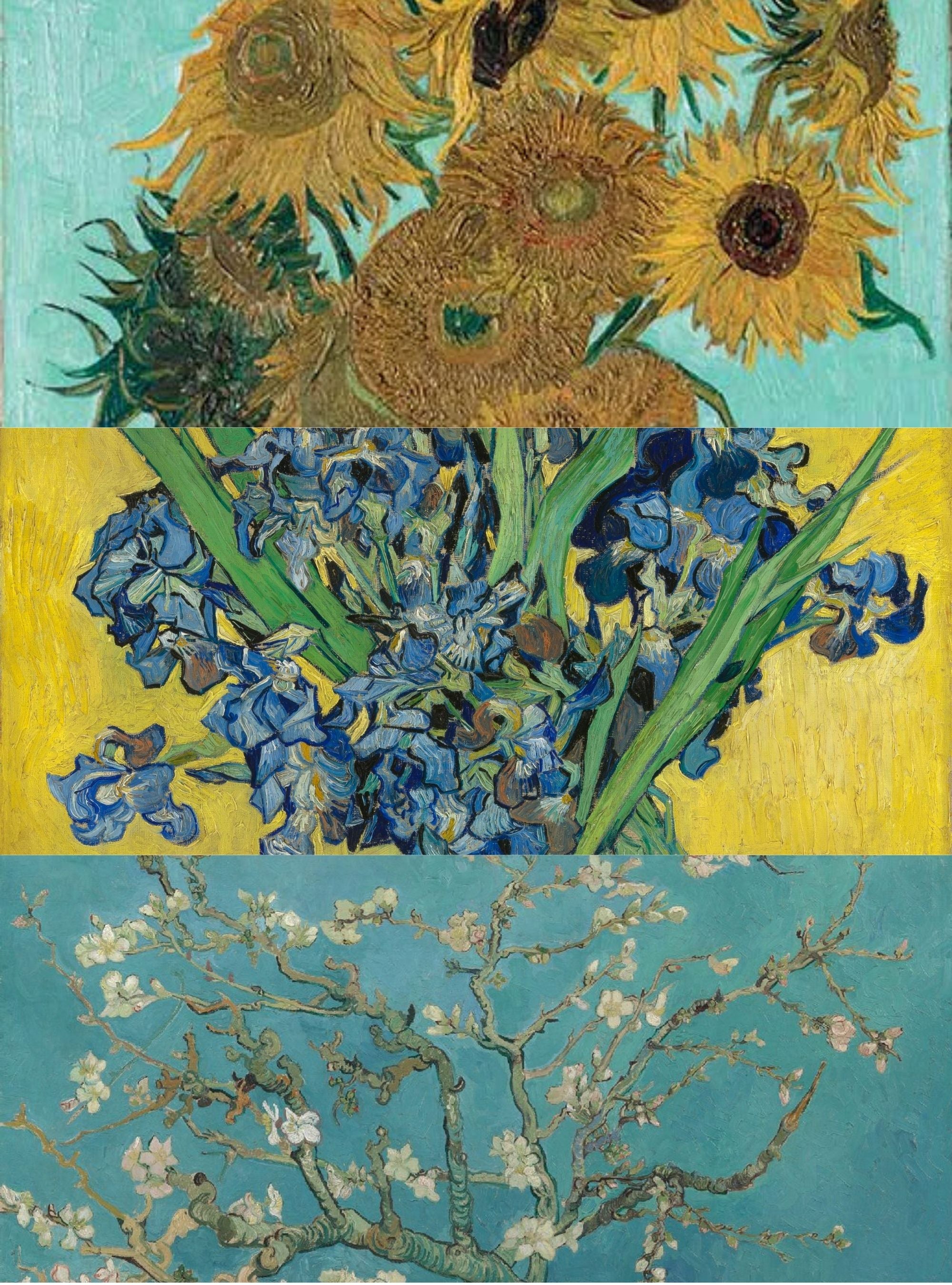 Van Gogh's Bloemen 3-Pack